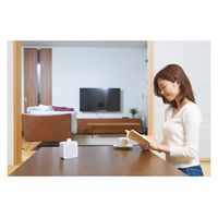 山善 ワイヤレス手元スピーカー YWTS-800 60479 1箱（直送品）