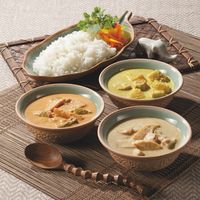 ショウトク 3種のタイ風カレーセット(4食) TS-20 1箱（直送品）