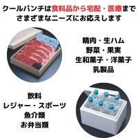 博洋 クールパンチ 20g 1セット（800個：400個入×2箱）P-20a