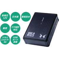 サンエス リチウムイオンバッテリーセット(2022) RD9290J 1セット（直送品）