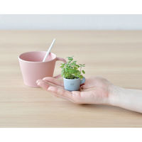 聖新陶芸 聖新 GD-96901 カラーミーアップマグアップルミント　1個（直送品）