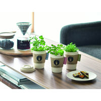 聖新陶芸 聖新 GD-98503 育てるカフェカモミール　1個（直送品）