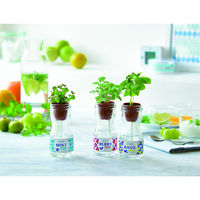 聖新陶芸 聖新 GD-98802 ビングリーンバジル　1個（直送品）