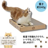 バリバリパッドコロコロボールスクエア 猫おもちゃ 猫壱