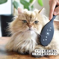 ブラシを嫌がる猫もとろける魔法のブラシ 日本製 猫壱