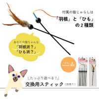 猫壱 キャッチミー・イフユーキャン2 猫と音符 電動おもちゃ