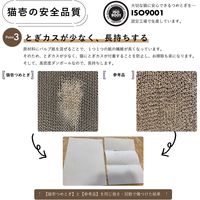 バリバリボウル 交換用 2個パック ダークブラウン 2個 爪とぎ 猫壱