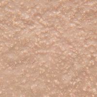 デビフ 缶詰 犬 カロリーエースプラス 犬用介護食 ささみ 国産 85g 4缶 ドッグフード ウェット