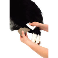 老犬介護用 巻くだけ伸縮包帯 犬用 5cm×4.5m ペティオ