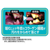 ペティオ プラクト 長持ちロング歯みがきデンタルガム ストロング 超小型～小型犬 無添加 国産 10本入 1袋 犬 おやつ