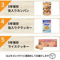 ピースアップ 3日分非常食Aセット 5年保存食詰替え用 HST5A01 10002430 1セット