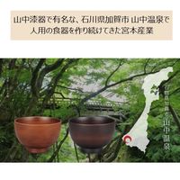 【ワゴンセール】ねこ脚付き フードボウル ペット用 みやわん See ライトブラウン 宮本産業