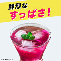 伊藤園 UME SODA RED 500ml 1セット（48本）