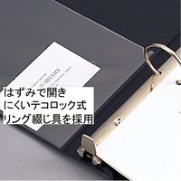 リヒトラブ カタログバインダーA4 オフホワイト F813-0 1冊