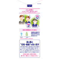 小林製薬 ハナノア専用洗浄液 爽快クール 2箱セット 4987072052471 鼻うがい