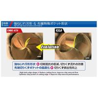 MOLDINO エポック ペンシルメガフィードボール EMBPE3060-40-09-ATH 1PC（直送品）