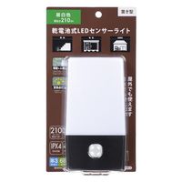 オーム電機 LEDポーチライト B200JSー3 06-0853 1個