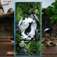 リーフ 形状お任せ 黒曜石 100g 809072 1個（直送品）