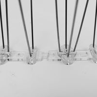 セーフラン安全用品 害鳥よけステンレスピンシート 長250mm 1箱(12本入) C0076-25（直送品）