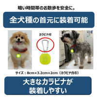 犬用 お散歩用ライト ハンドラー ゴーゴーナイト ライト 1個 アース・ペット 夜の散歩 光る