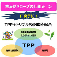 エブリデント 歯みがきロープ 愛犬用 かため SSサイズ 国産 55g（約20本）1袋 犬 おやつ 歯磨き アース・ペット