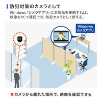 サンワサプライ ワイヤレス広角WEBカメラ CMS-V69BK 1個（直送品）