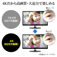 サンワサプライ USB A/Type-C両対応HDMIディスプレイアダプタ(4K/30Hz対応) USB-CVU3HD4 1個
