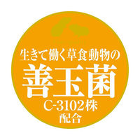 モルモットプレミアムフード シンバイオティクスブレンド 600g 国産 1袋 ジェックス