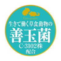 チンチラプレミアムフード シンバイオティクスブレンド 600g 2袋 ジェックス