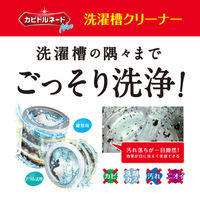 カビトルネード Neo 洗濯槽クリーナー 縦型用 無香料 1個 リベルタ