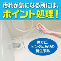 お風呂の防カビムエンダー 浴室まるごと カビ予防 スプレー 40プッシュ ハーバルミントの香り 1本 KINCHO キンチョー
