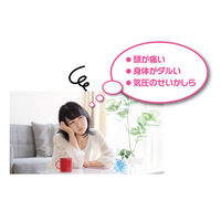 エンペックス気象計 アトモス卓上気象計 BM-747 1個