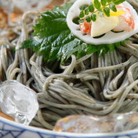 奈良屋 天領よもぎそば 200g×10袋 4976096119550（直送品）