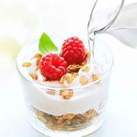 サラヤ フォワード ラカント業務用液状甘味料 1L×12個 4973512276699（直送品）