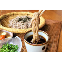 佐々長醸造 老舗の味つゆ 500ml×2個 4905342030219（直送品）