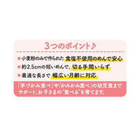 はくばく ベビーうどん 100g ×10個 4902571203902（直送品）