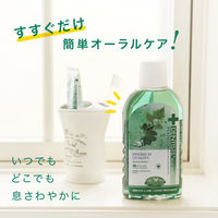 (株)リベルタ デンティスオーラルリンス×3個 4533213669420（直送品）