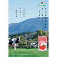 らくのうマザーズ いちご 250ml×12個 4908839183054（直送品）