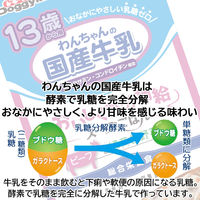 ドギーマン 13歳から用 わんちゃんの国産牛乳スープごはん ビーフと緑黄色野菜入 国産 80g 20個 ドッグフード 犬 ウェット