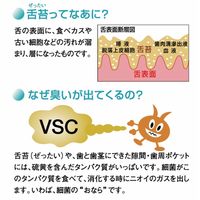 ビーブランド・メディコーデンタル ハイザックRスプレー 24-8035-00 1本