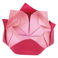 ショウワノート 両面おなじ色のダブルソフトハーモニーおりがみ 8色調 15cm 231523 1個