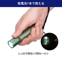 朝日電器 LEDカラーアルミライト DOP-EP302(MG) 1個