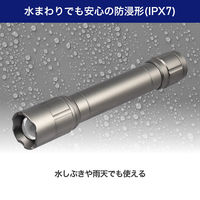 朝日電器 LEDアルミライト DOP-EP420 1個