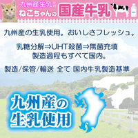 ねこちゃんの国産牛乳 200ml 10個 ドギーマン キャットフード おやつ ミルク