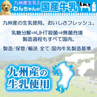 わんちゃんの国産牛乳 200ml 10個 ドギーマン ドッグフード 犬 おやつ ミルク