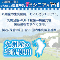 わんちゃんの国産牛乳 7歳からのシニア用 200ml 10個 ドギーマン ドッグフード 犬 おやつ ミルク