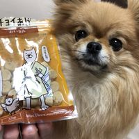 チョイあげ おいもん 35g 10袋 国産 わんわん ドッグフード おやつ