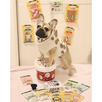 チョイあげ かつおくん 35g 10袋 国産 わんわん ドッグフード 犬 おやつ