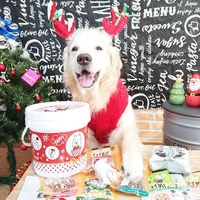 チョイあげ 牛太郎 牛タン入り 50g 5袋 国産 わんわん ドッグフード 犬 おやつ