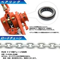 ALRHIDAXレバーホイスト　2.5t　KV025　1台（直送品）
